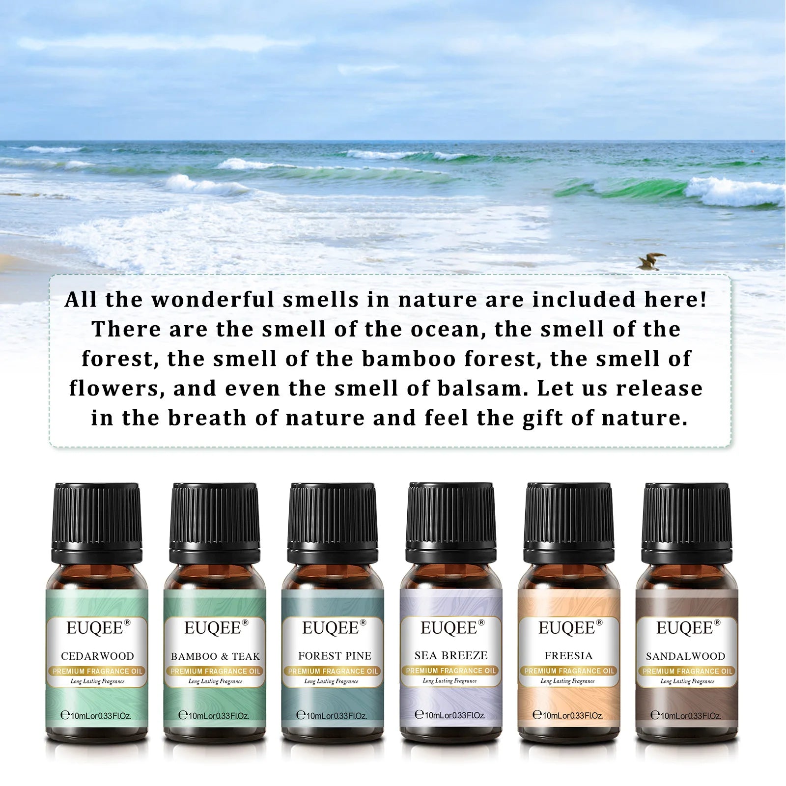 6PCS Fragrance Oils Gift Set for Candle Making - 10Ml Sea Breeze,Forest Pine,Bamboo & Teak,Cedarwood,Sandalwood,Freesia